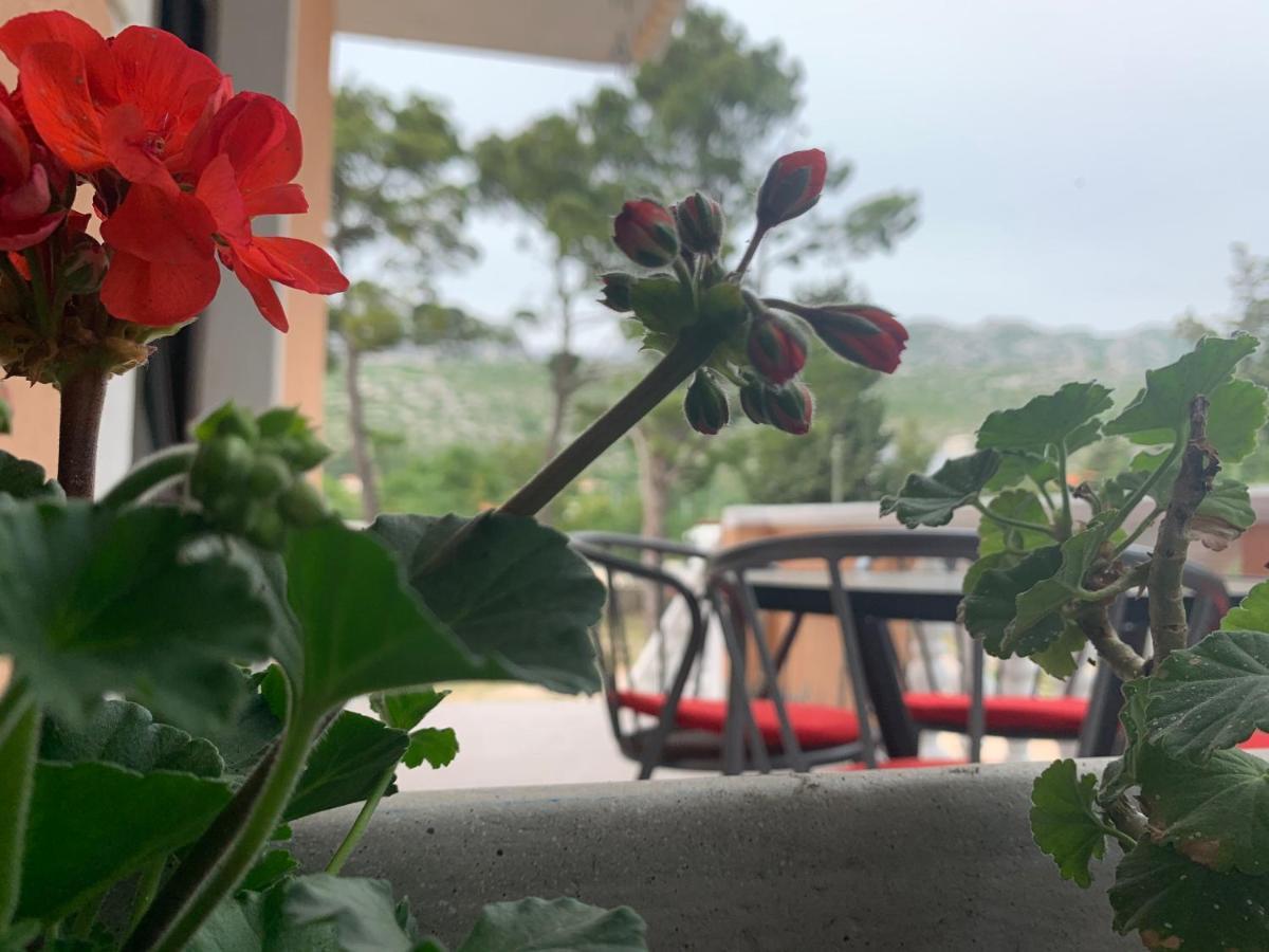 Apartmani Spomenka Селине Екстер'єр фото